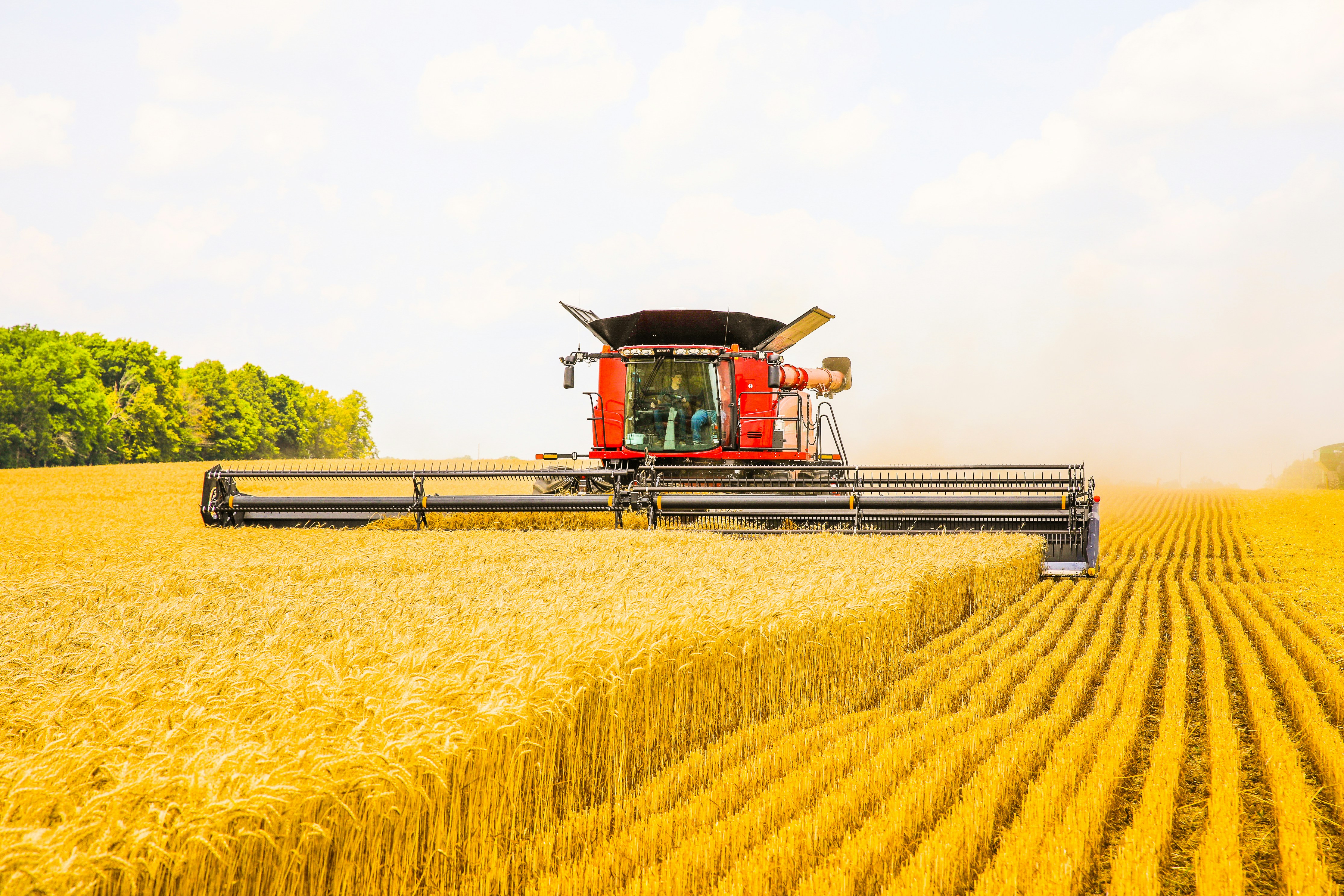 Indian agro products